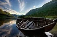 55.webp