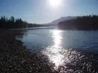 88.webp