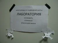 экспертиза 2.webp