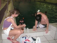 PICT3308.webp