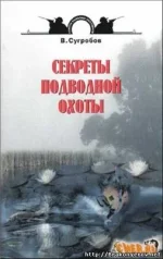 книга2.webp
