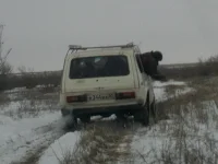 IMAG0039и.webp
