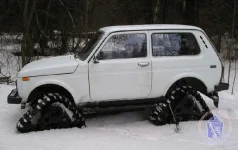 niva2.webp