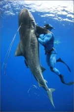 gallery07.webp