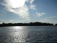 SDC12211.webp