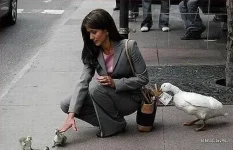 5562.webp
