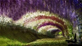 1330255813_kawachi1.webp