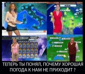 93.webp