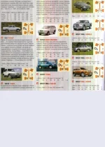 11.webp