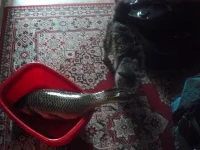 P1080209.webp