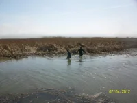 100_9873.webp