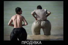 07155011a.webp