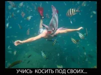 1303816529_07_podborka_55.webp