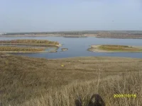 SDC10874.webp