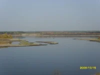SDC10880.webp