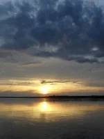 SDC11726.webp