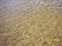 100_1068.webp