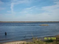 100_1091.webp