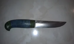 IMAG0188.webp