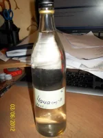 100_0220-2.webp
