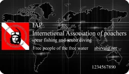 Безимени-4.webp