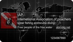 Безимени-4.webp