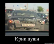 1338203945_60802077_krik-dushi.webp