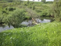PICT0157.webp