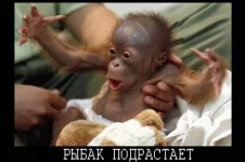 опсс....webp