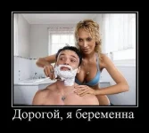 0_5e7c5_d5bf01c7_XL.webp