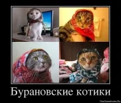 1339421126_46344302_buranovskie-kotiki.webp