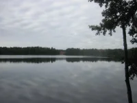 боровое 017.webp