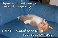 kotomatrix1334.webp