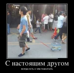 аквариум.webp