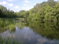26062012583_1.webp