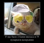 Валерианка.webp