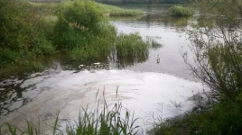 2012-06-24_11-59-25_453.webp