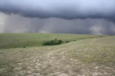 Утро на Тарханкуте.webp