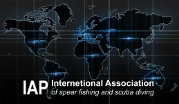 с синим.webp