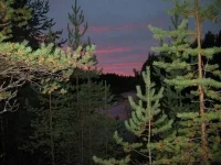 Image00016.webp