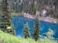 1342687592_ozero_01.webp
