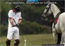 659033.webp