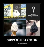 1339764557_1339613g.webp