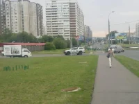 27072012217.webp