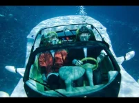 000085b9_medium.webp