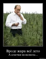Жара.webp