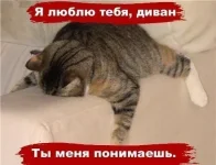 v1FmrRLml14.webp
