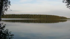 IMG_4350.webp