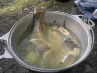 02082012715.webp