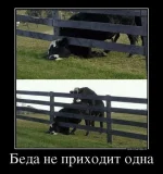 134312828626147.webp